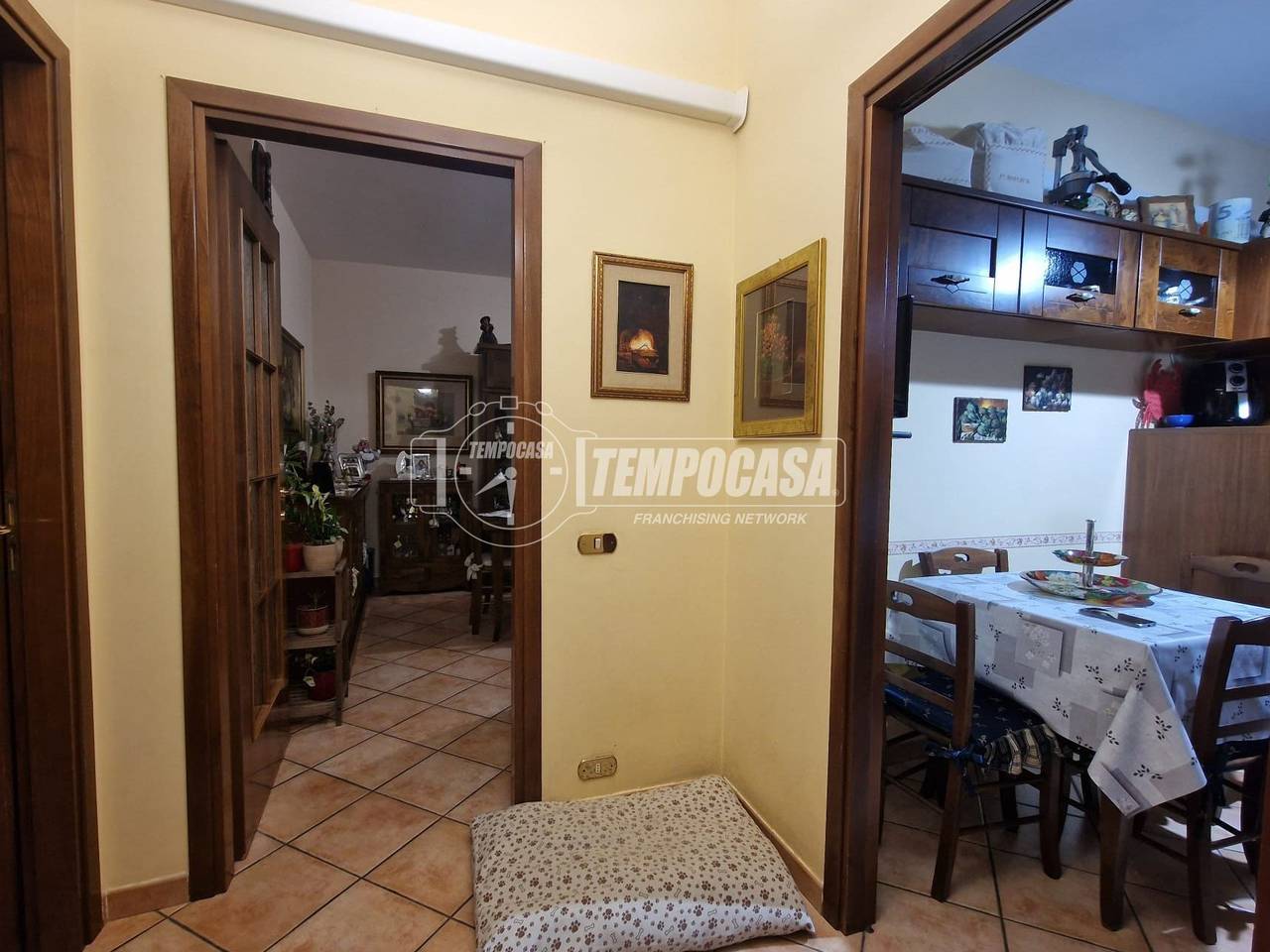 immagine annuncio 4 di 11