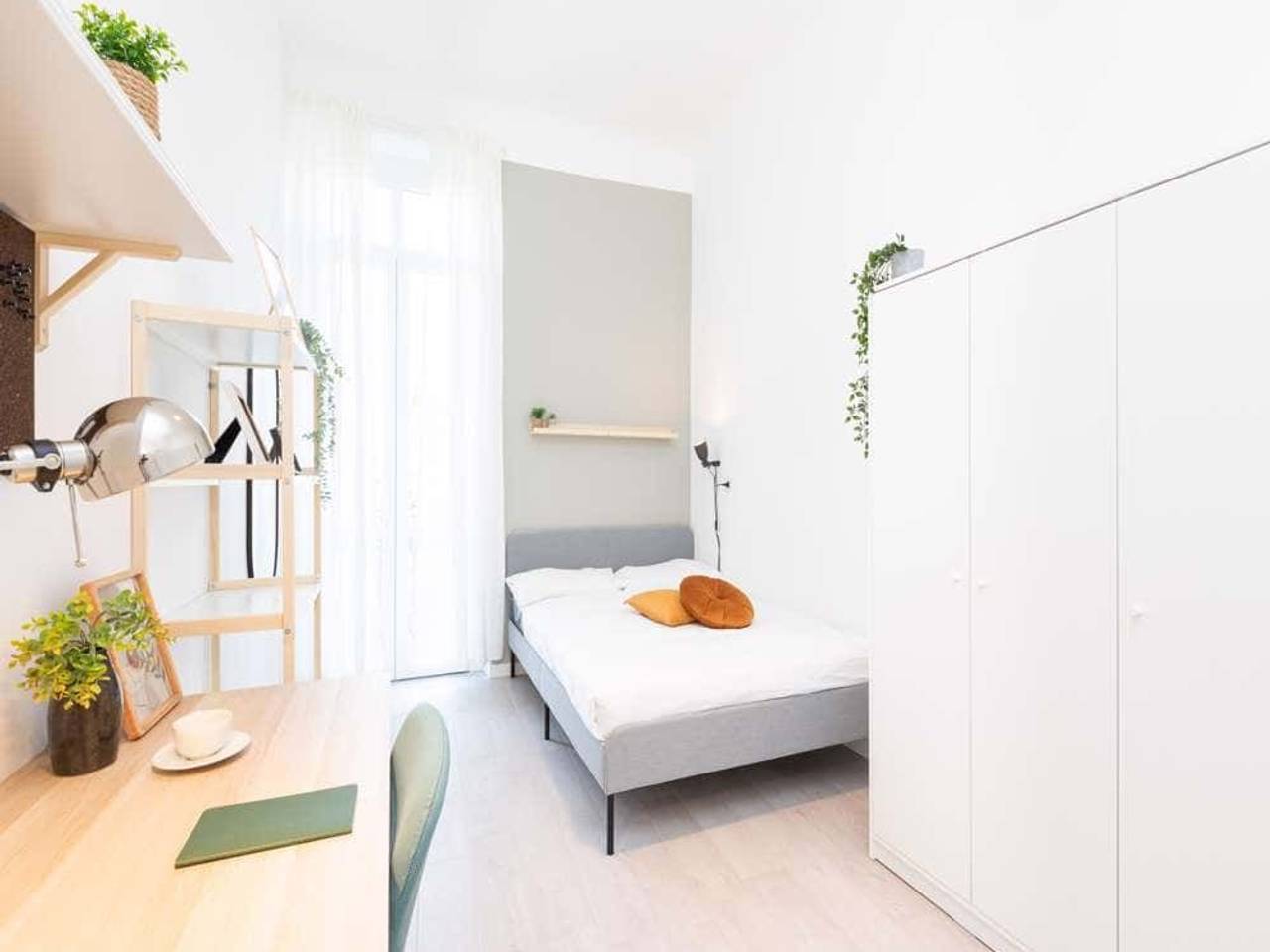 immagine annuncio 6 di 13