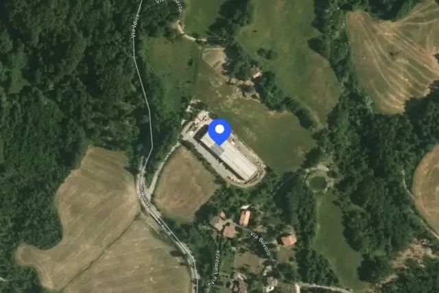 insertion image