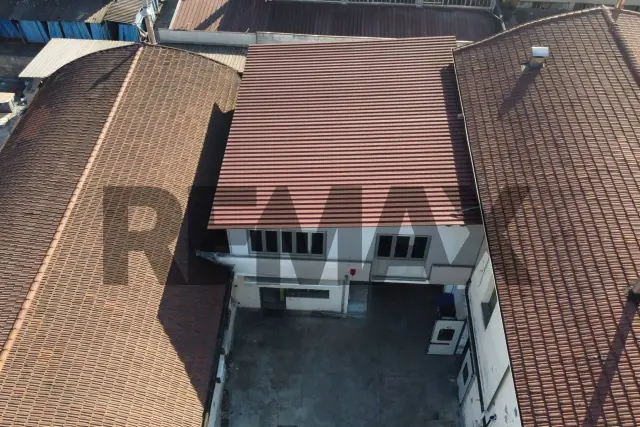 insertion image