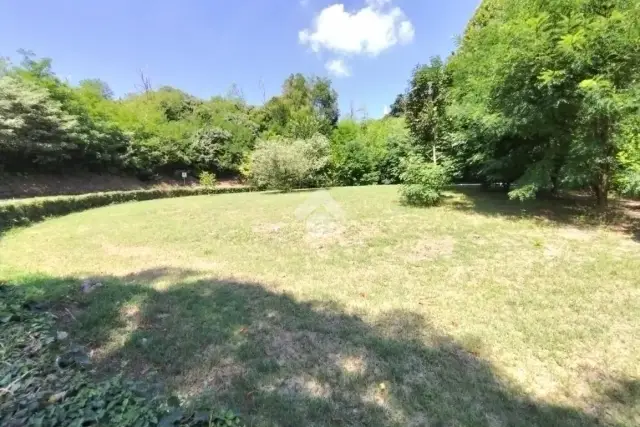 insertion image