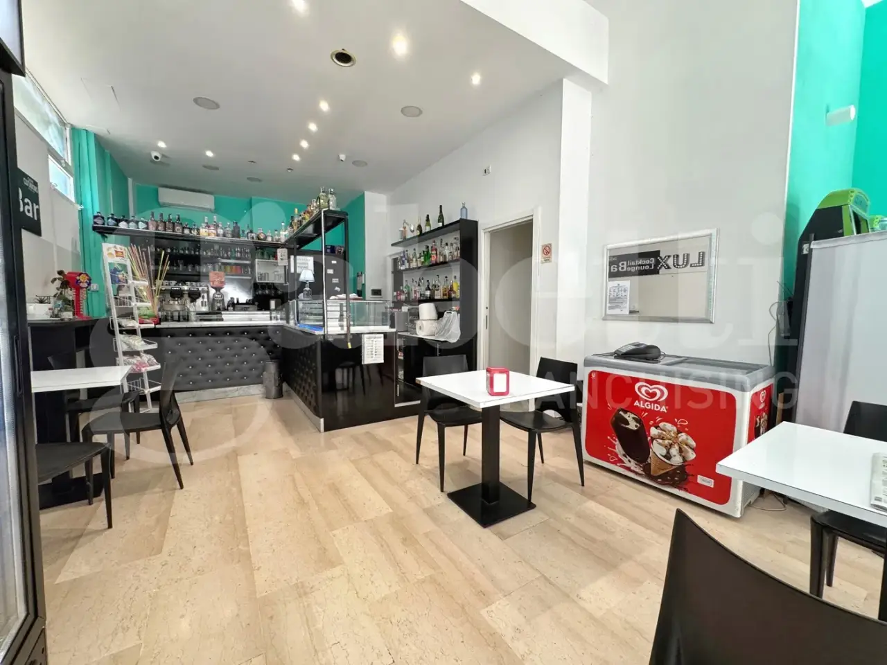 Bar in Viale Gramsci, Grugliasco, {3} - Foto 1