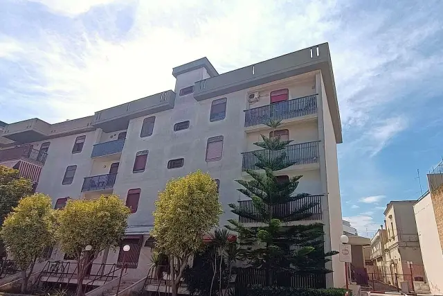 insertion image