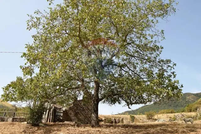 Landhaus, Bagni di Lucca - Foto 1