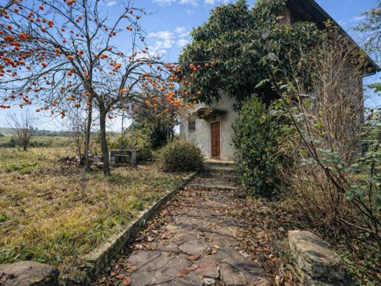 immagine annuncio 1 di 8