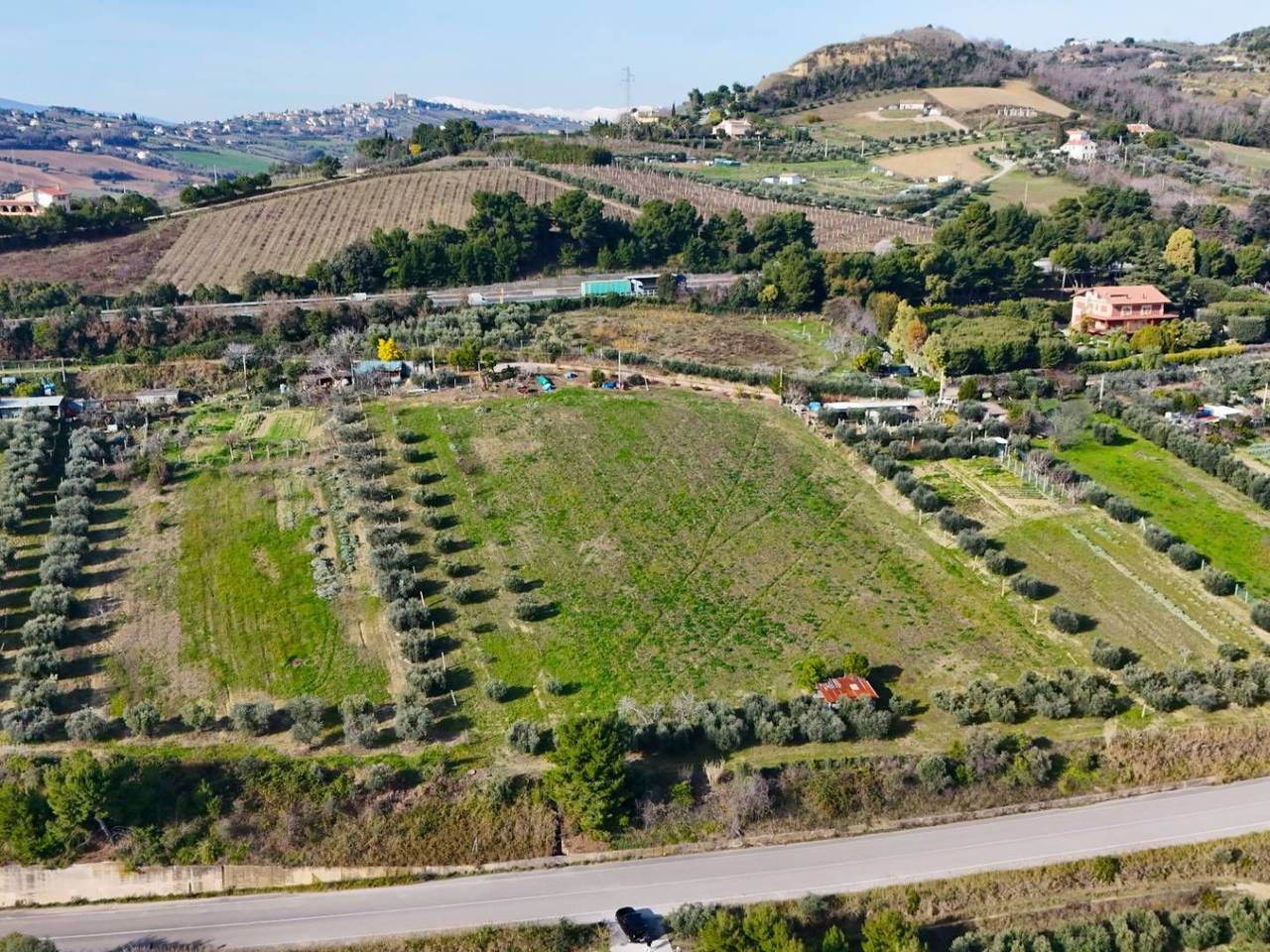 immagine annuncio 3 di 4