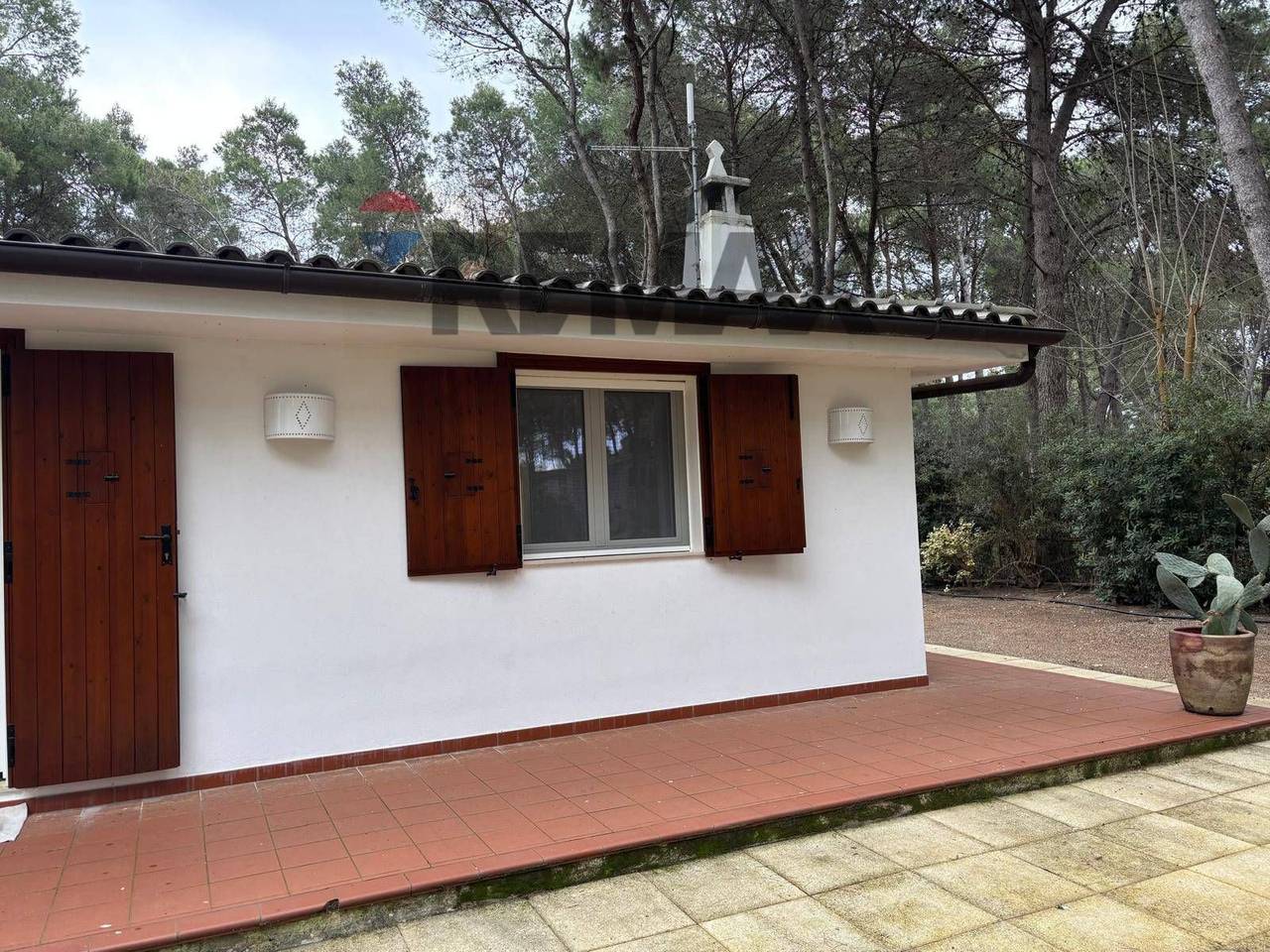 immagine annuncio 7 di 8