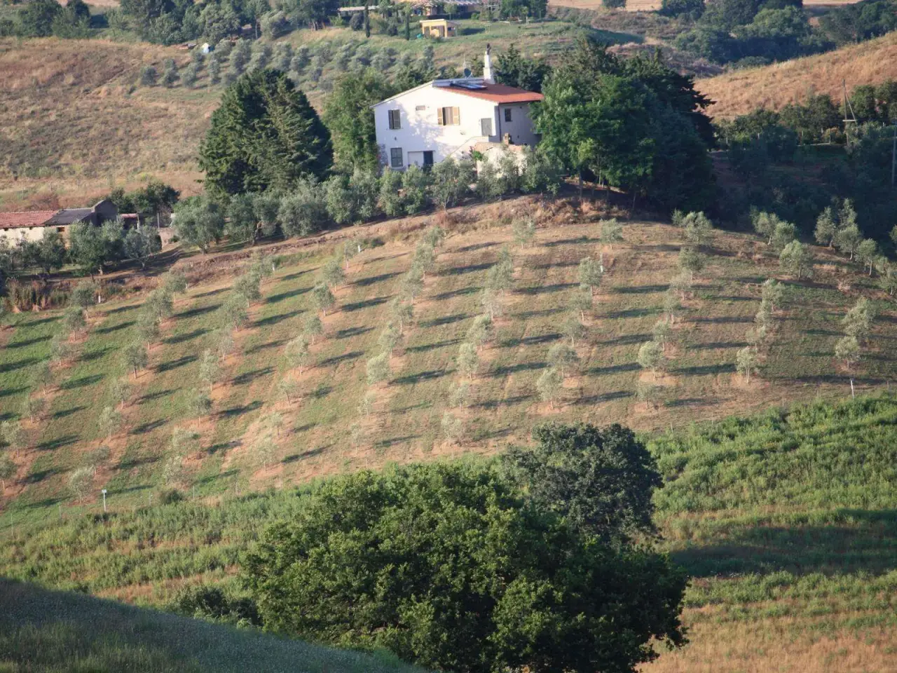 Azienda agricola in , Campagnatico, {3} - Foto 2