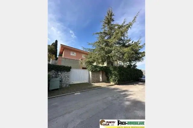 insertion image