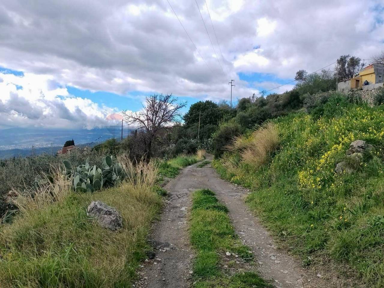 immagine annuncio 6 di 8