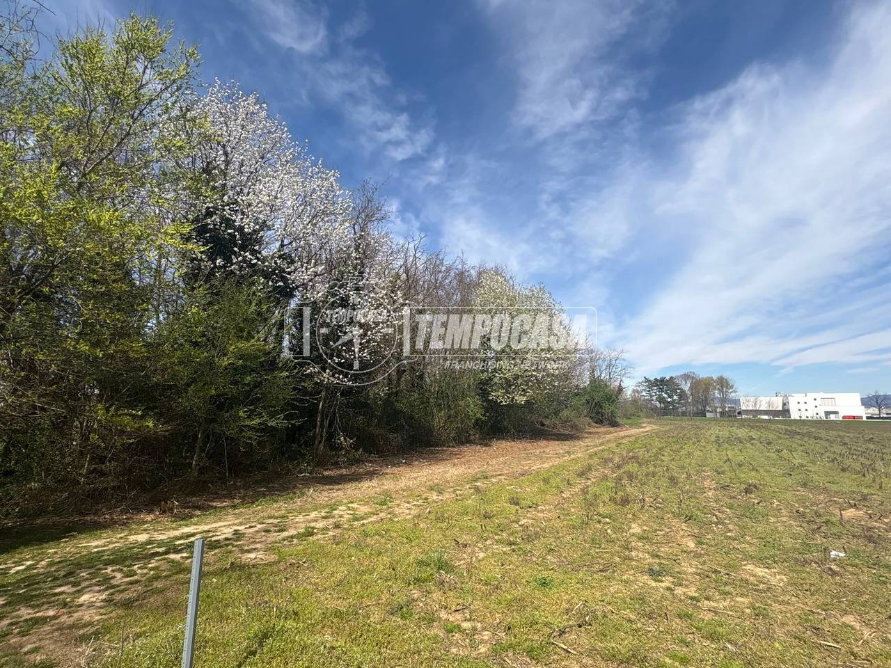 immagine annuncio 1 di 7