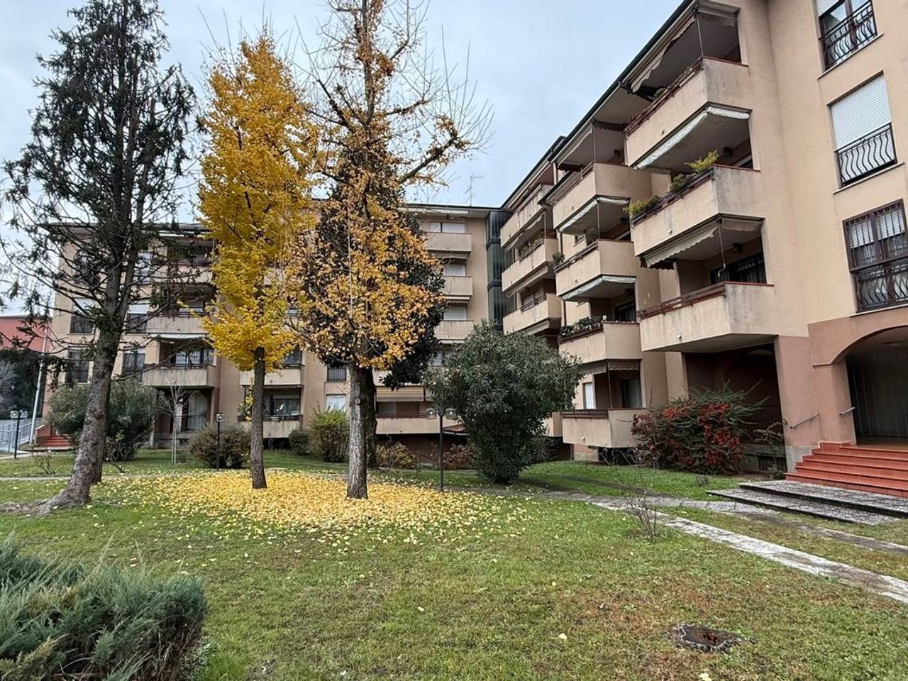 immagine annuncio 13 di 14