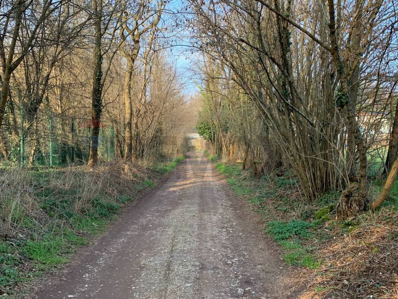 immagine annuncio 11 di 15