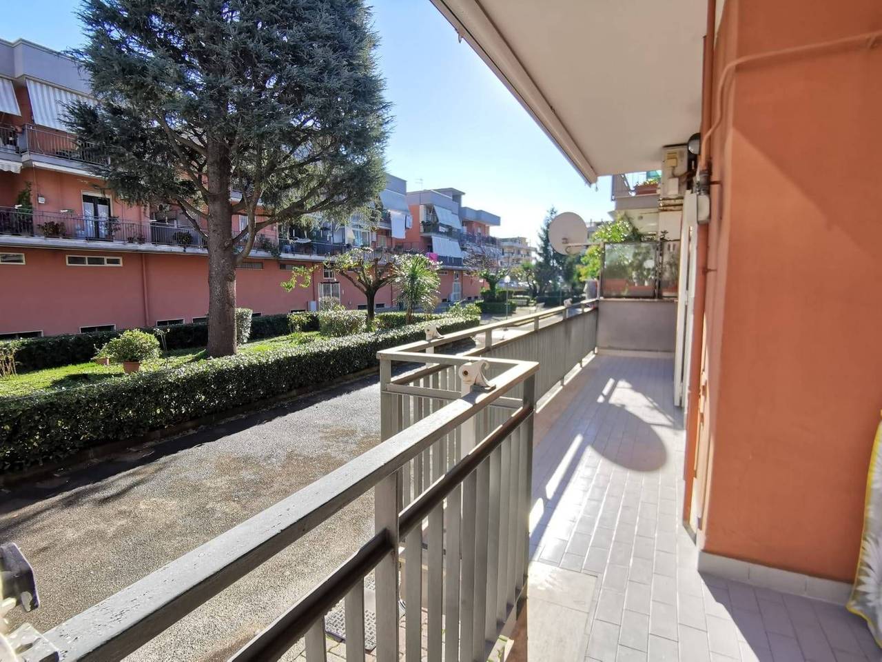 immagine annuncio 14 di 15