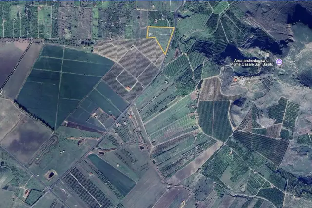 insertion image