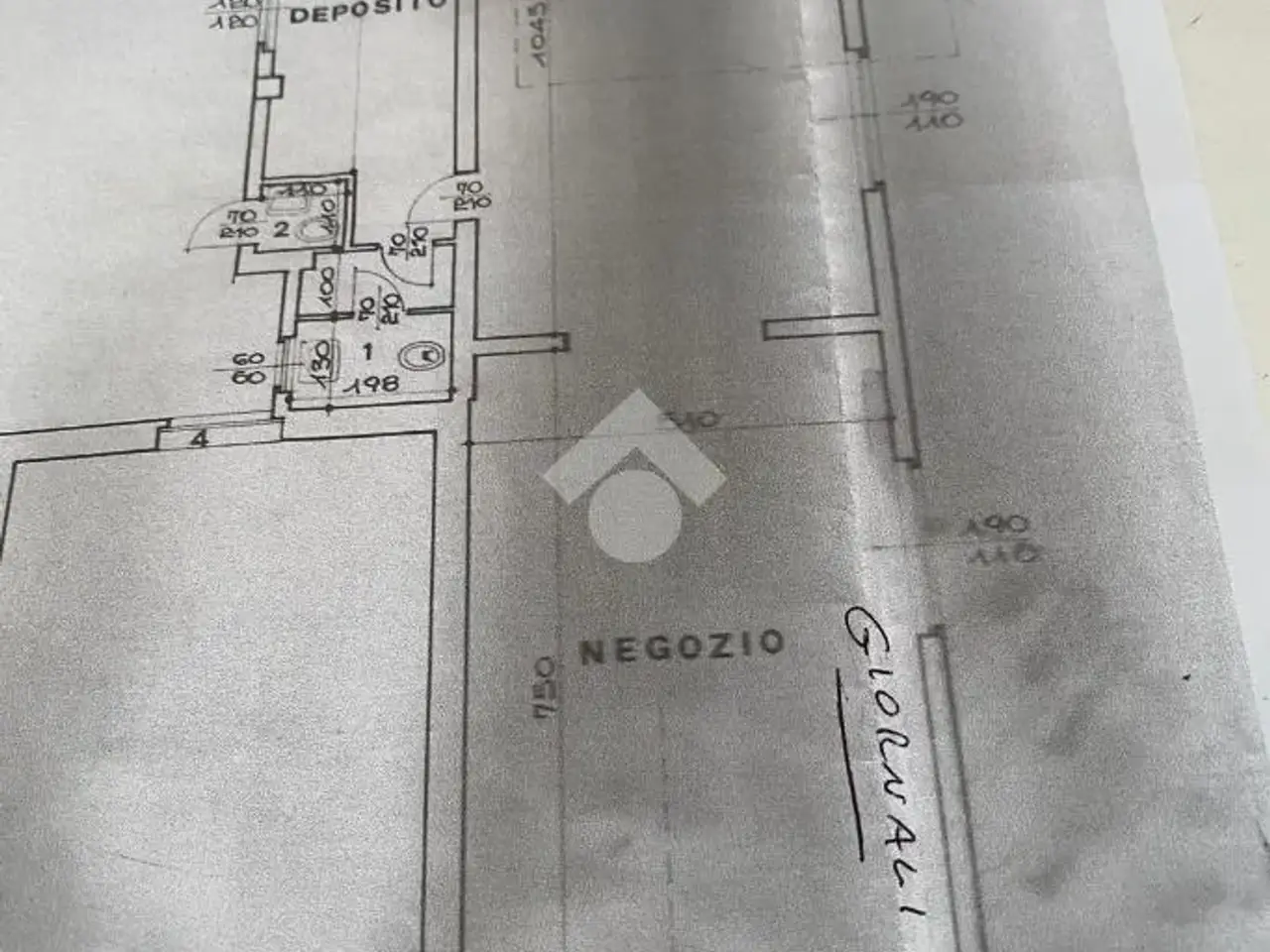 Negozio in Via Roma 98, Molino Dei Torti, {3} - Planimetria 1