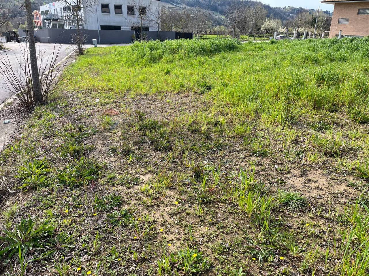 immagine annuncio 4 di 8