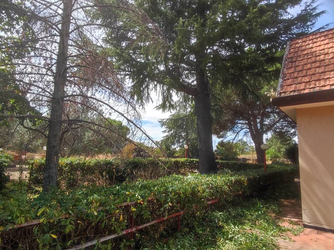 immagine annuncio 3 di 12