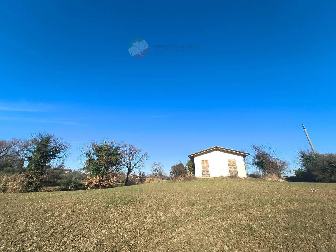 immagine annuncio 2 di 14