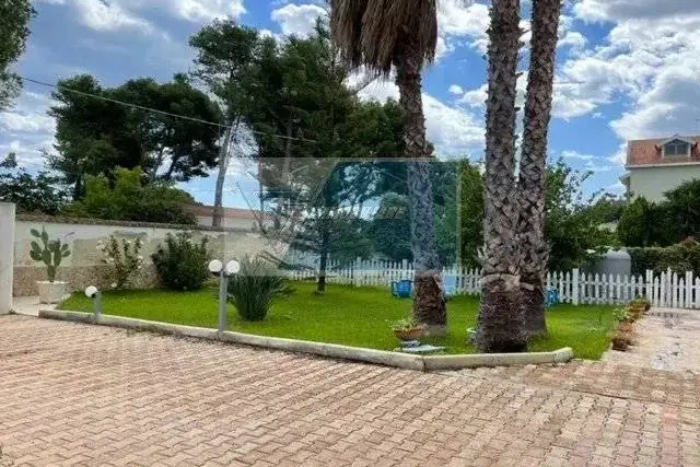 insertion image