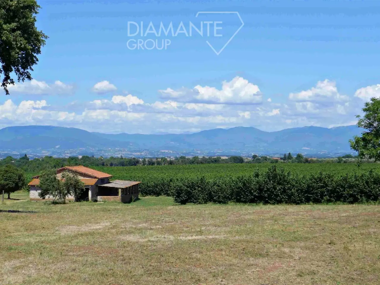 Azienda agricola in , Castel Sant'Elia, {3} - Foto 1