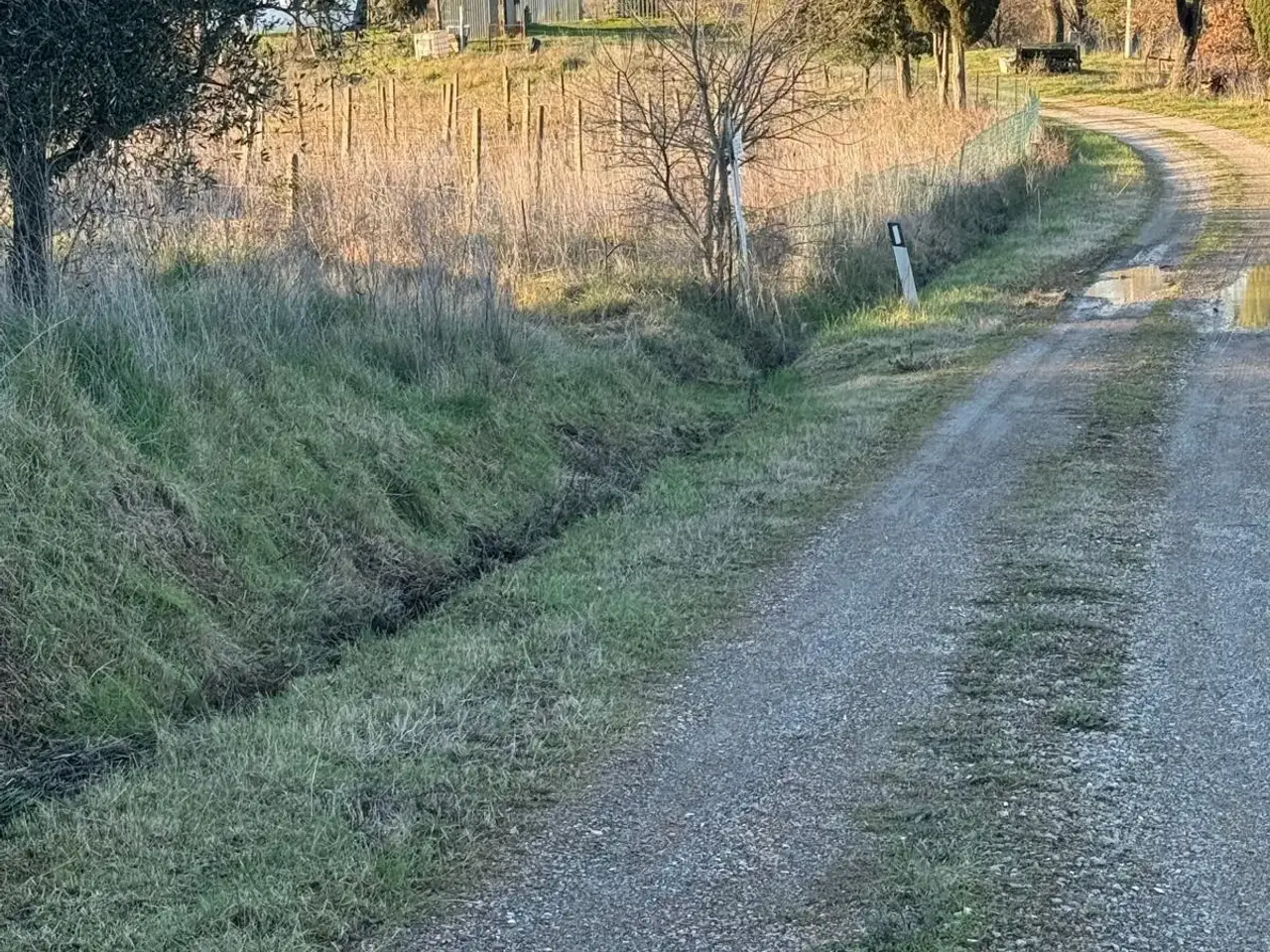 Azienda agricola in , Cinigiano, {3} - Foto 1