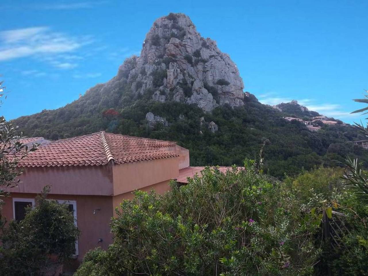 immagine annuncio 9 di 13