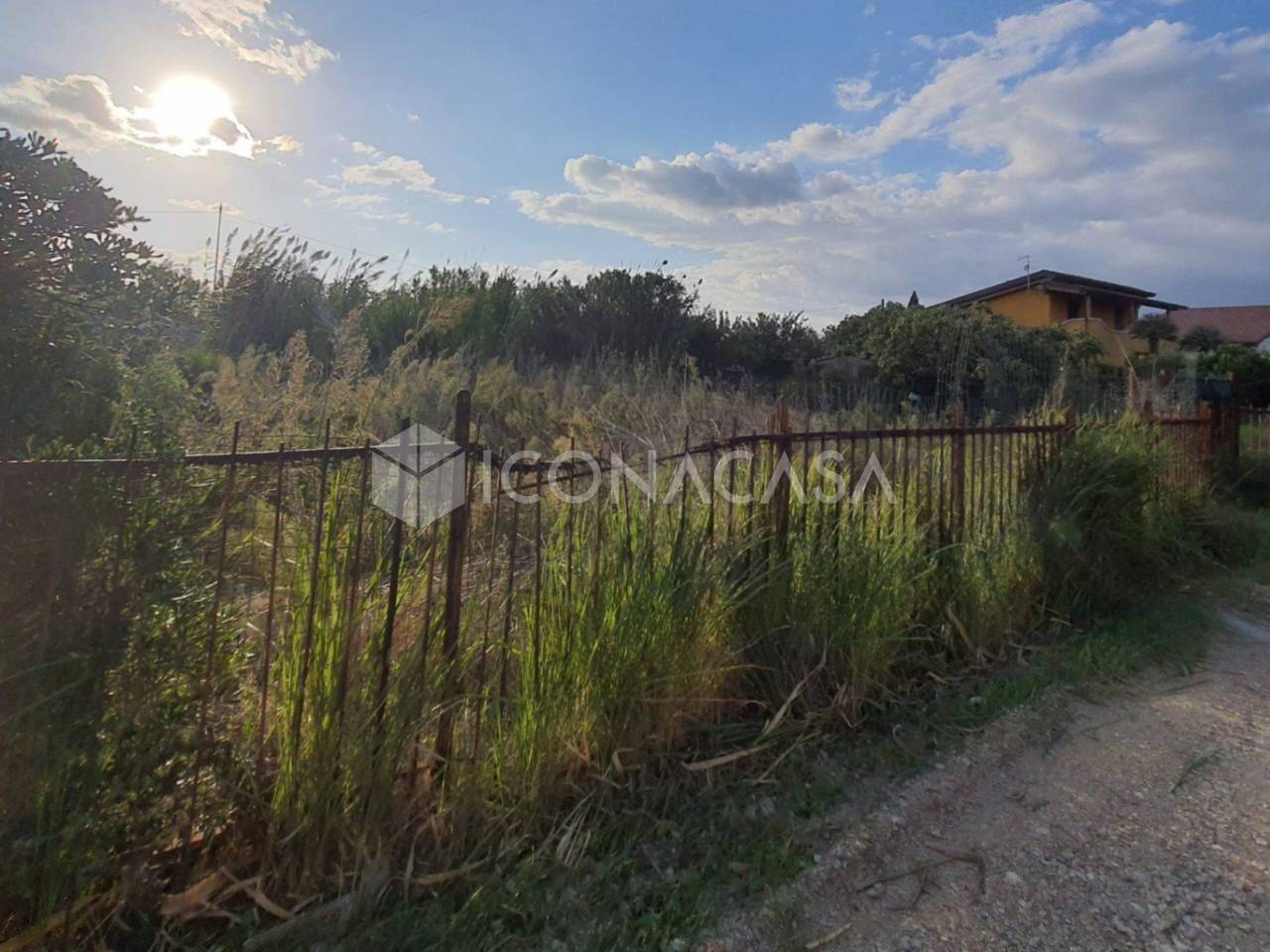 immagine annuncio 4 di 6