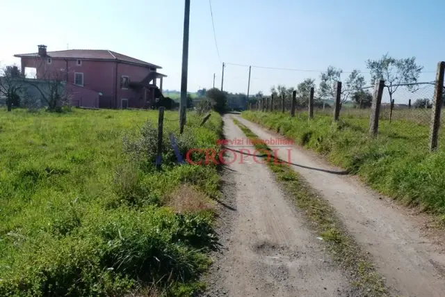 insertion image