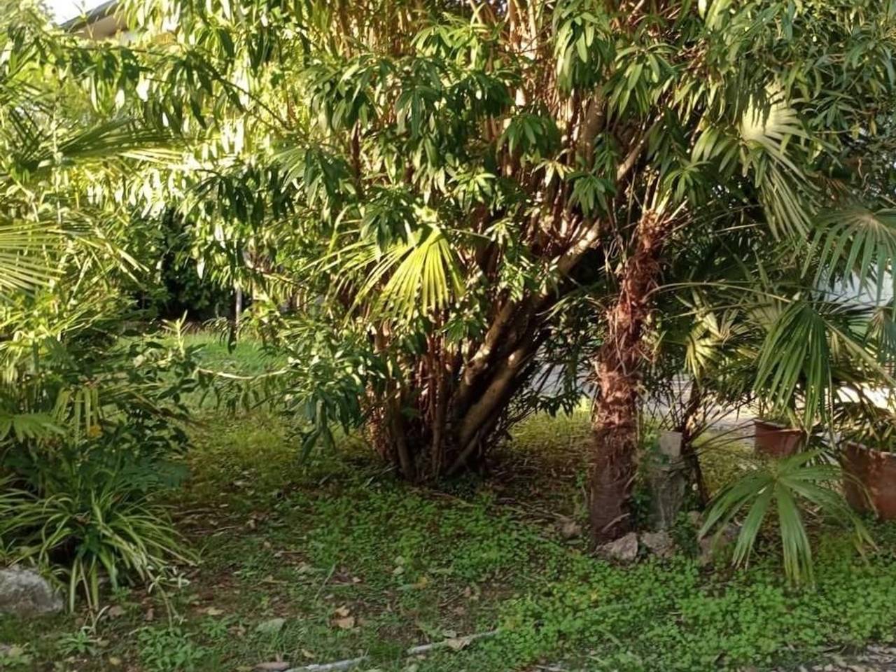 immagine annuncio 12 di 14