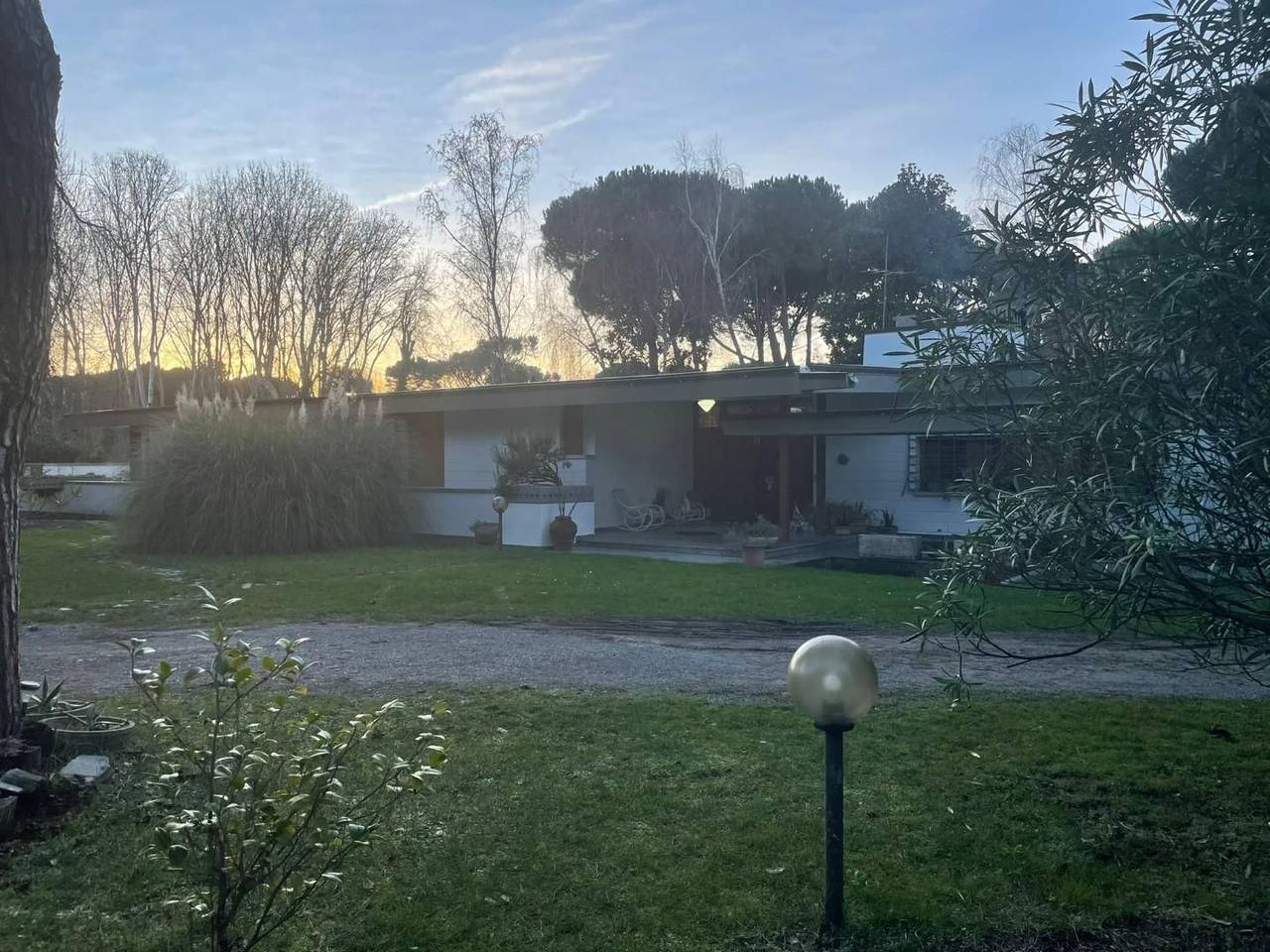 immagine annuncio 5 di 14