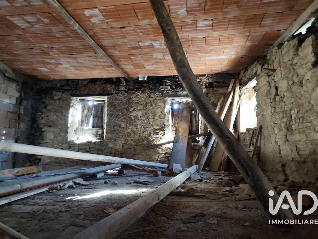 immagine annuncio 12 di 13