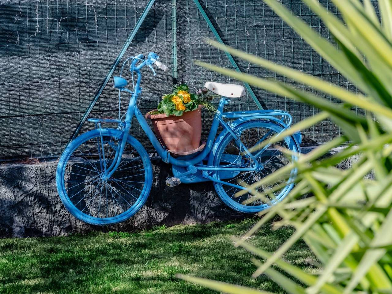 immagine annuncio 13 di 15