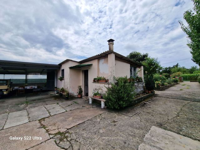 Detached house in Via del Rio, Pietrasanta - Photo 1