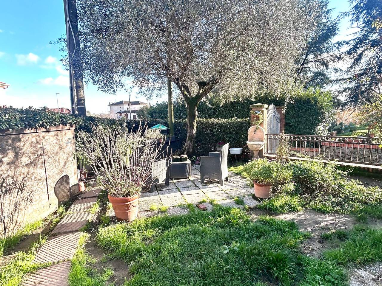 immagine annuncio 6 di 15