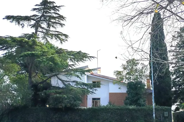 insertion image