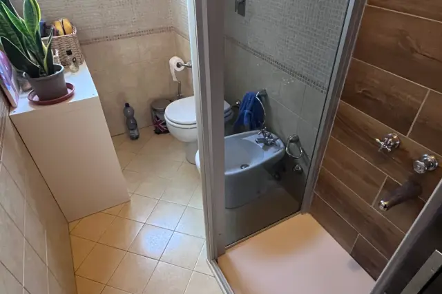 insertion image