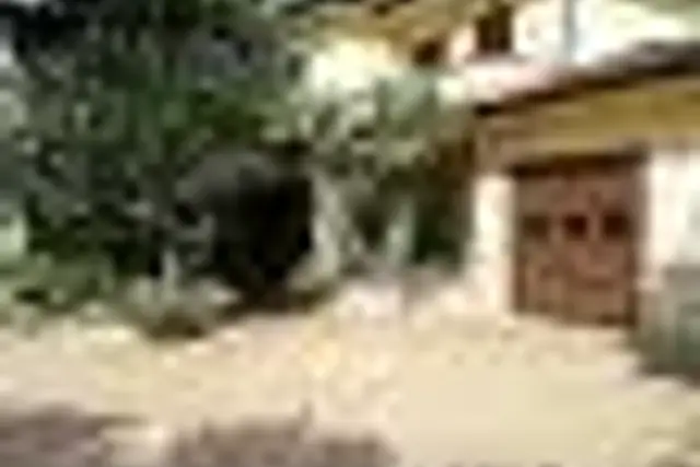 insertion image