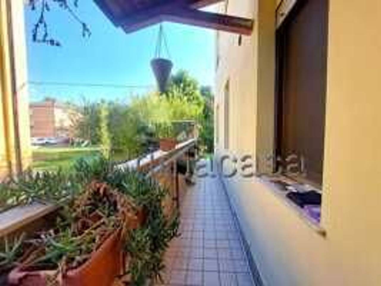 immagine annuncio 5 di 13