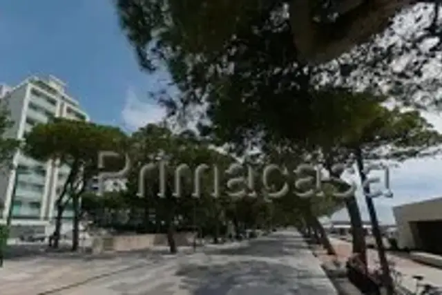insertion image