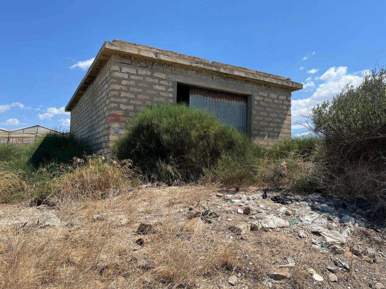 immagine annuncio 4 di 14