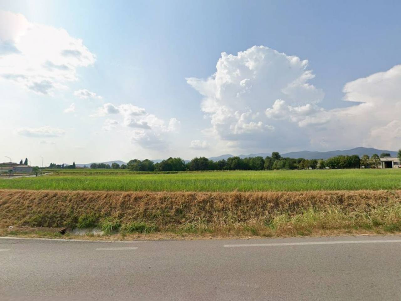 immagine annuncio 3 di 13