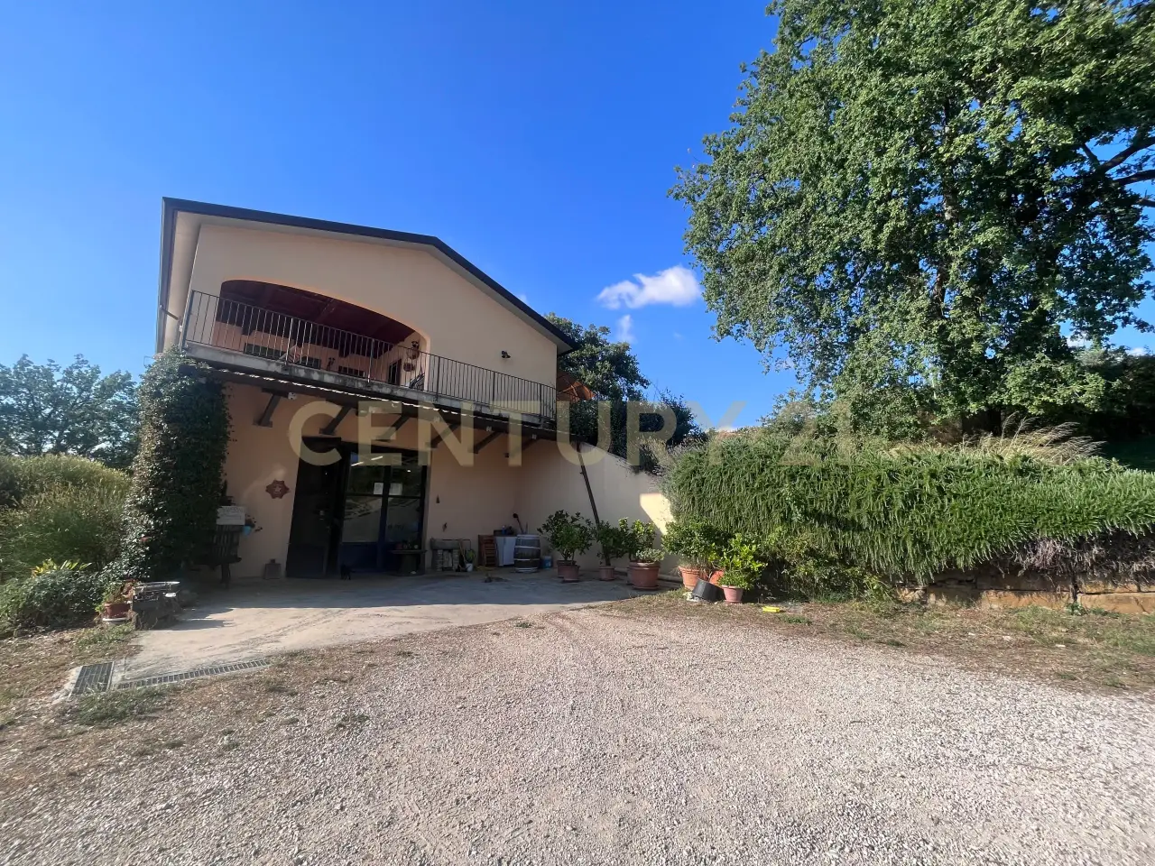 Azienda agricola in Strada dei Sassi Bianchi, Manciano, {3} - Foto 2