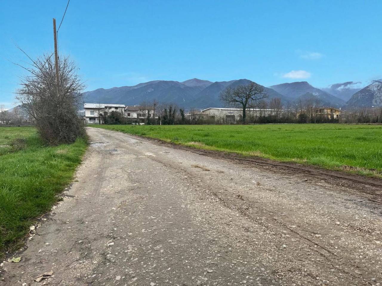 immagine annuncio 5 di 6
