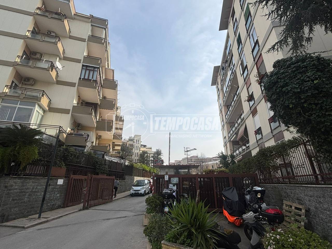 immagine annuncio 10 di 13