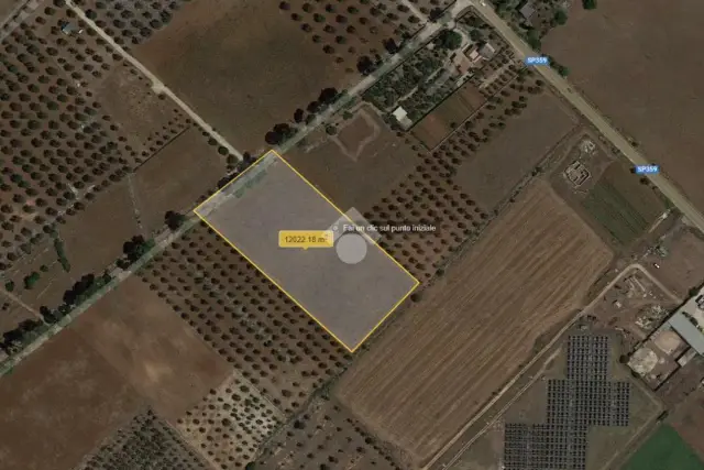 insertion image