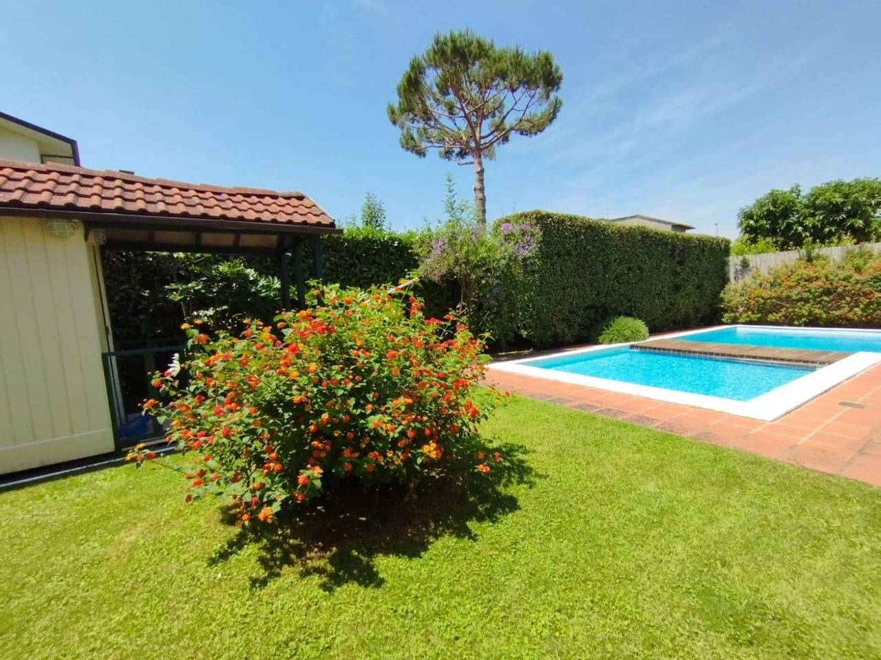 immagine annuncio 2 di 14