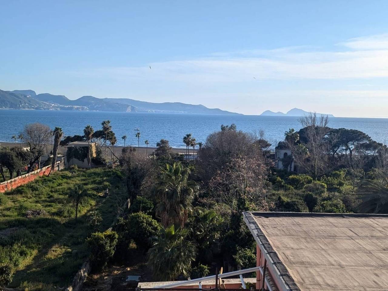 immagine annuncio 9 di 13