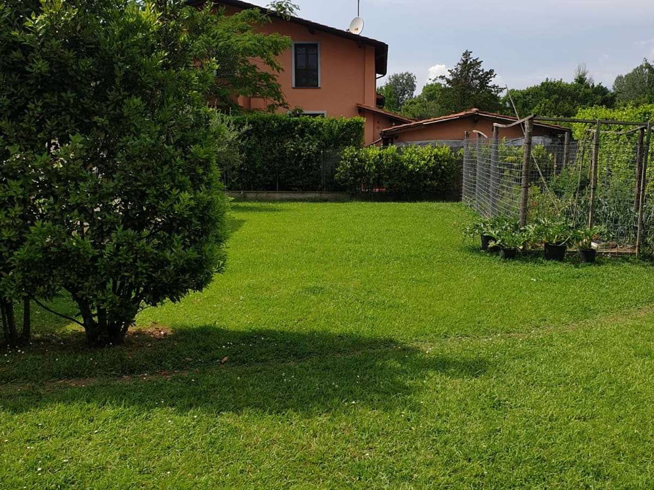 immagine annuncio 9 di 15