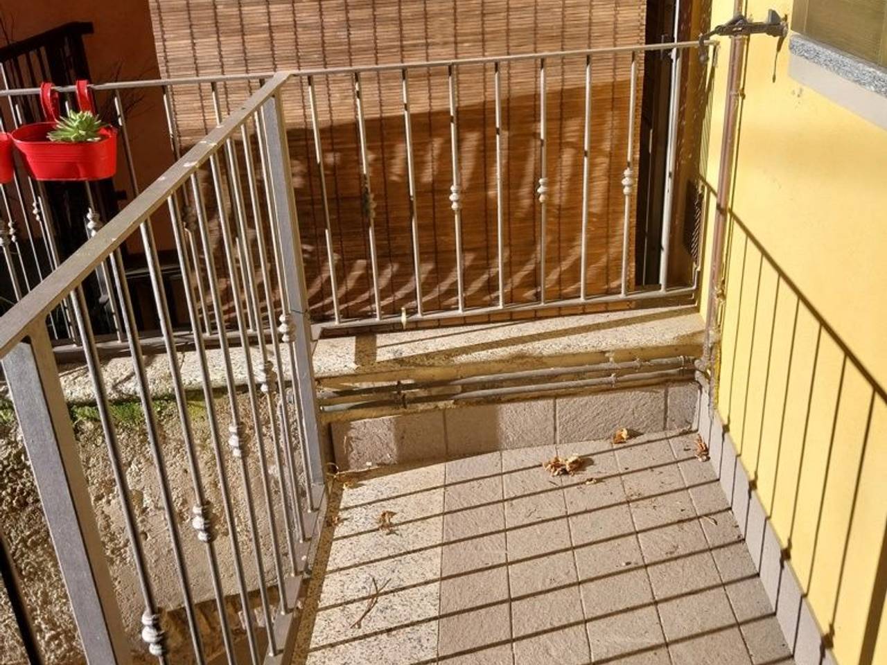 immagine annuncio 10 di 12